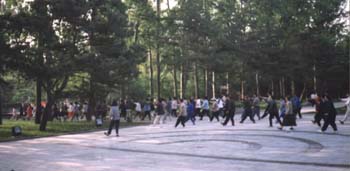 park