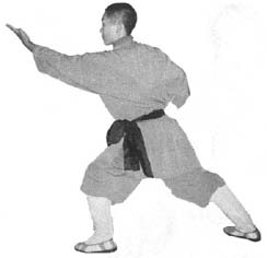 pic.17-2