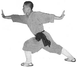 pic.17-3