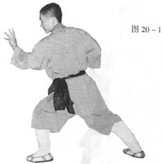 pic.20-1