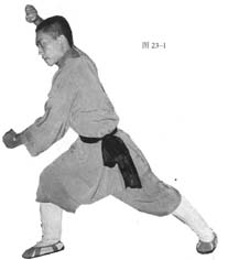 pic.23-1